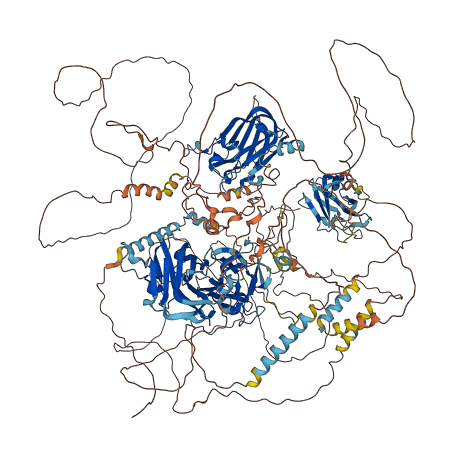 KIAA0556 3D structure