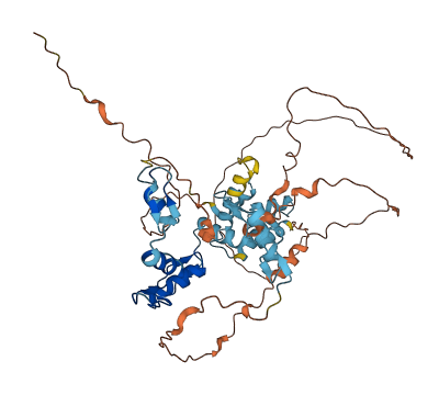 ZNF500 3D structure