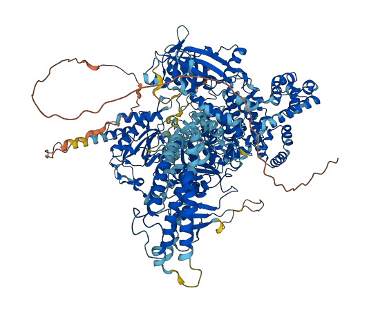 AQR 3D structure