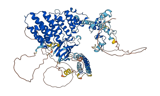 CEP104 3D structure