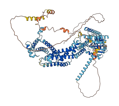 OPA1 3D structure