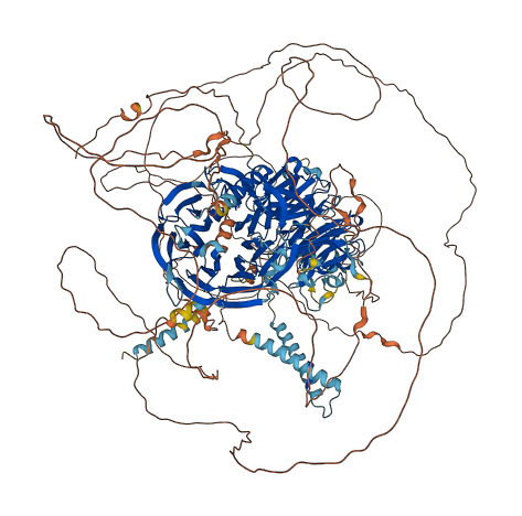 MAPKBP1 3D structure