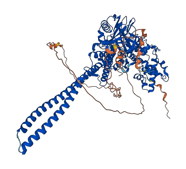 KDM1A 3D structure