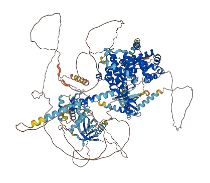 TBC1D4 3D structure