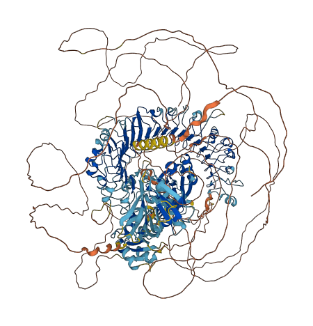 PHLPP1 3D structure