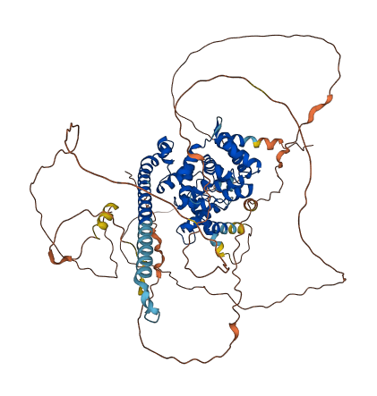 TBC1D12 3D structure