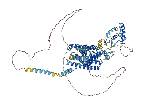 FZD6 3D structure