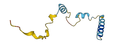 NUPR1 3D structure