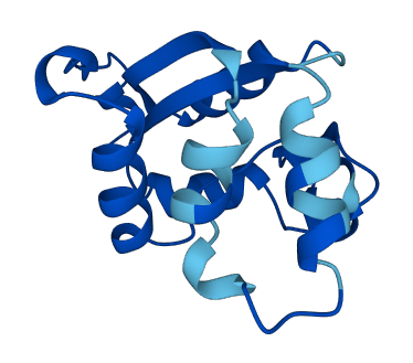NME2P1 3D structure