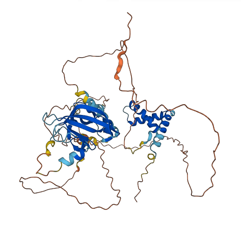 HBP1 3D structure