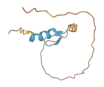ZNF861P 3D structure