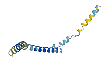 COX7A2P2 3D structure