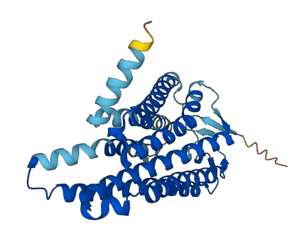 OR10H2 3D structure