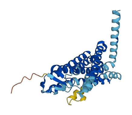 OR7C2 3D structure