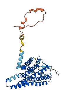 OR1I1 3D structure