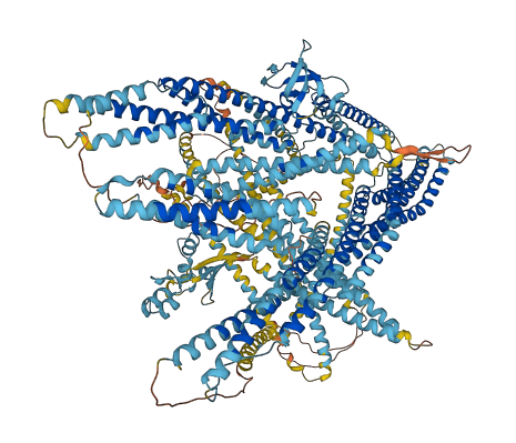 PPL 3D structure
