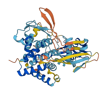 GSDME 3D structure