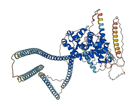 EVI5 3D structure