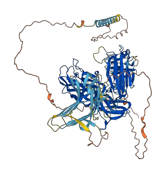 NRP2 3D structure