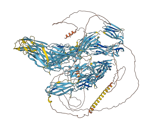DSCAM 3D structure