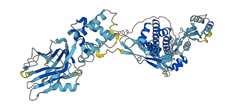 BRINP1 3D structure