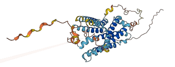GPR137B 3D structure