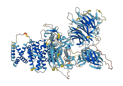 PLXNC1 3D structure