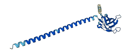 MPZL2 3D structure