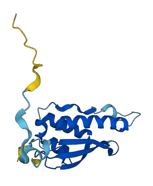 SNX3 3D structure