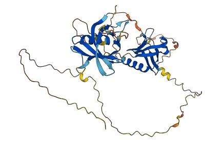 DOK2 3D structure