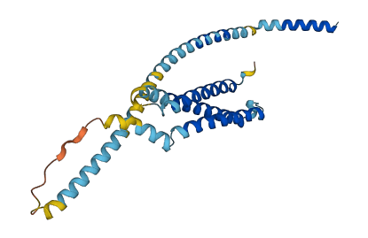 STX10 3D structure