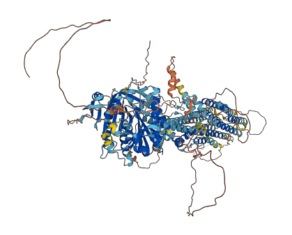 ADCY9 3D structure
