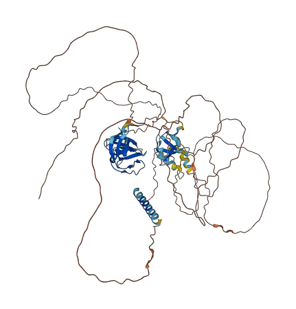 SORBS3 3D structure
