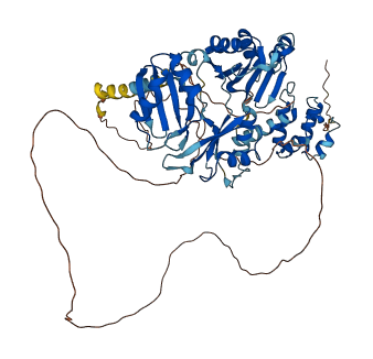 SYNCRIP 3D structure