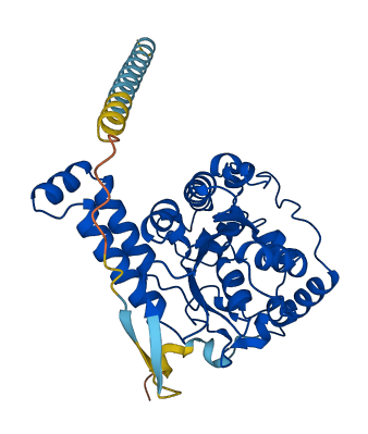 TPST1 3D structure