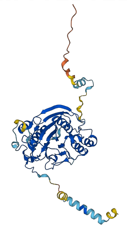 B4GALT3 3D structure