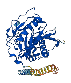 B4GALT4 3D structure