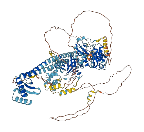NEMF 3D structure