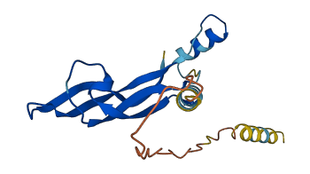 PSPN 3D structure
