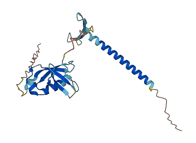 CIDEA 3D structure