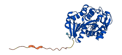GMDS 3D structure