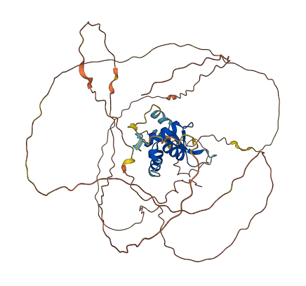 FOXD2 3D structure