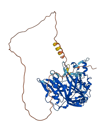 NMT2 3D structure