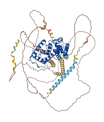 CCNT1 3D structure