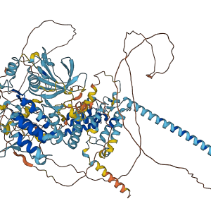BUB1B 3D structure