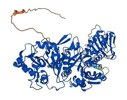 PLOD3 3D structure