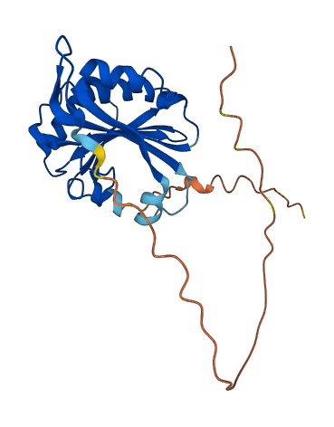 EIF4E2 3D structure