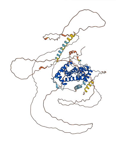 CCNT2 3D structure