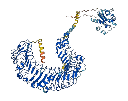 TLR5 3D structure