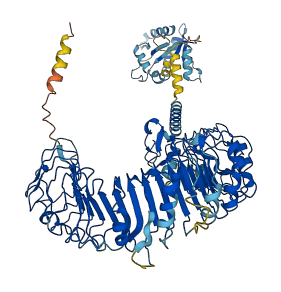 TLR2 3D structure